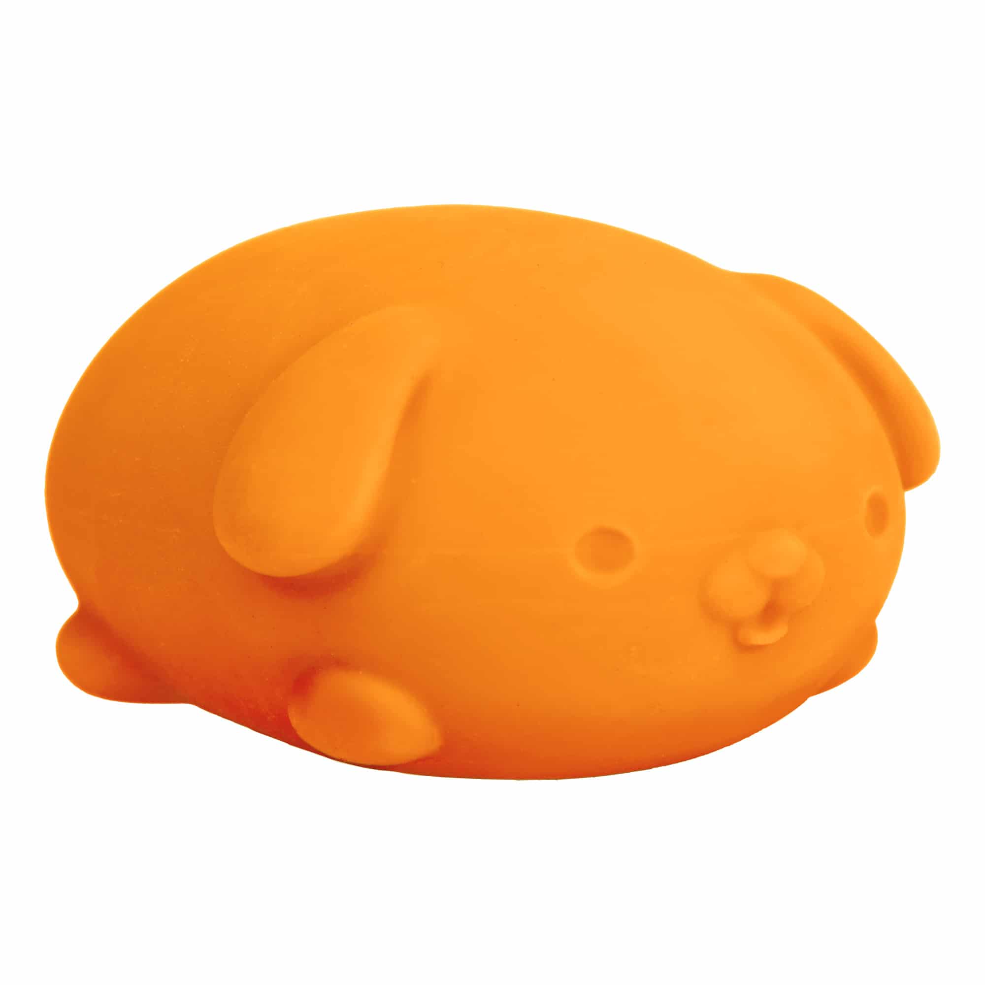 Purrfectly Squishy NeeDoh Funky Pup | Collection Canyon Shore - Purrfect Cat Squishy Character Stress Toy Detail