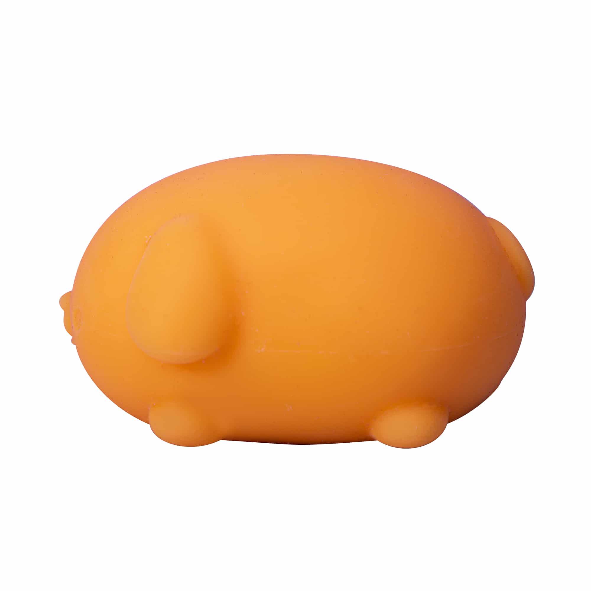 Purrfectly Squishy NeeDoh Funky Pup | Collection Canyon Shore - Purrfect Cat Squishy Character Stress Toy Detail
