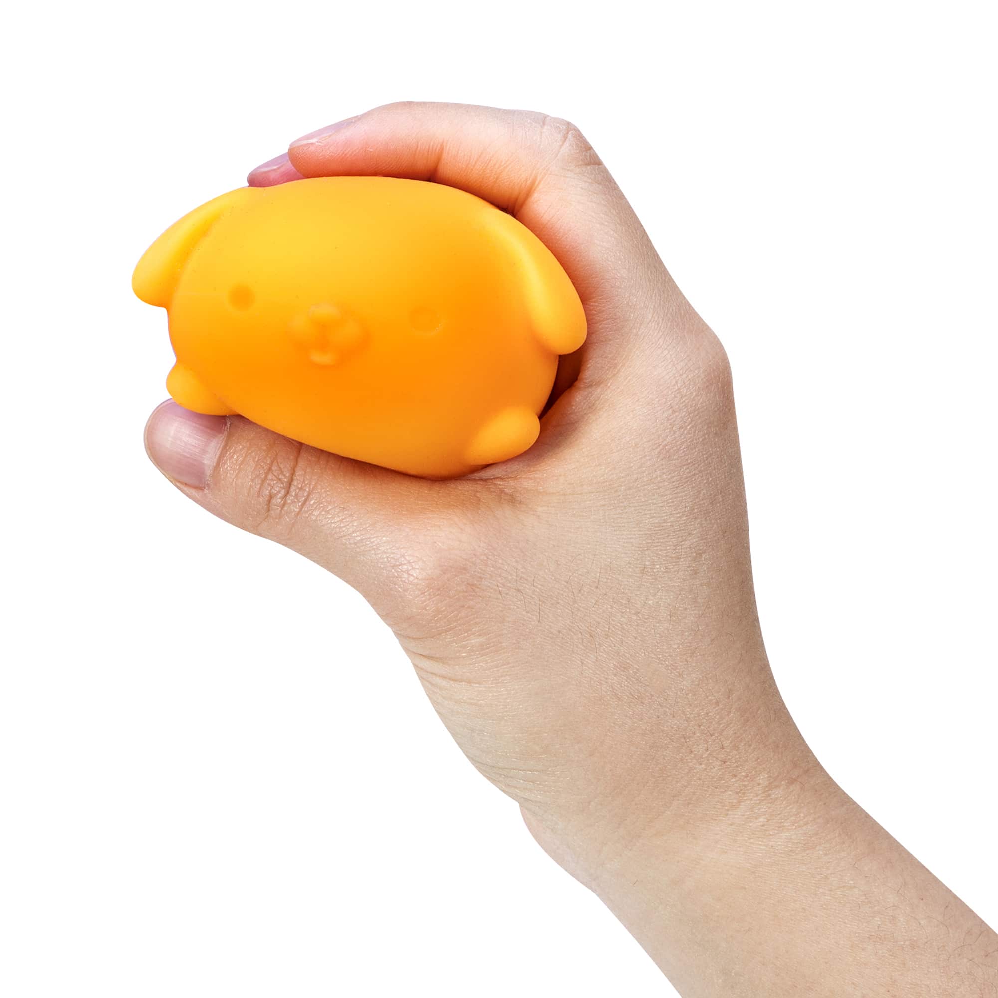 Purrfectly Squishy NeeDoh Funky Pup | Collection Canyon Shore - Purrfect Cat Squishy Character Stress Toy Detail