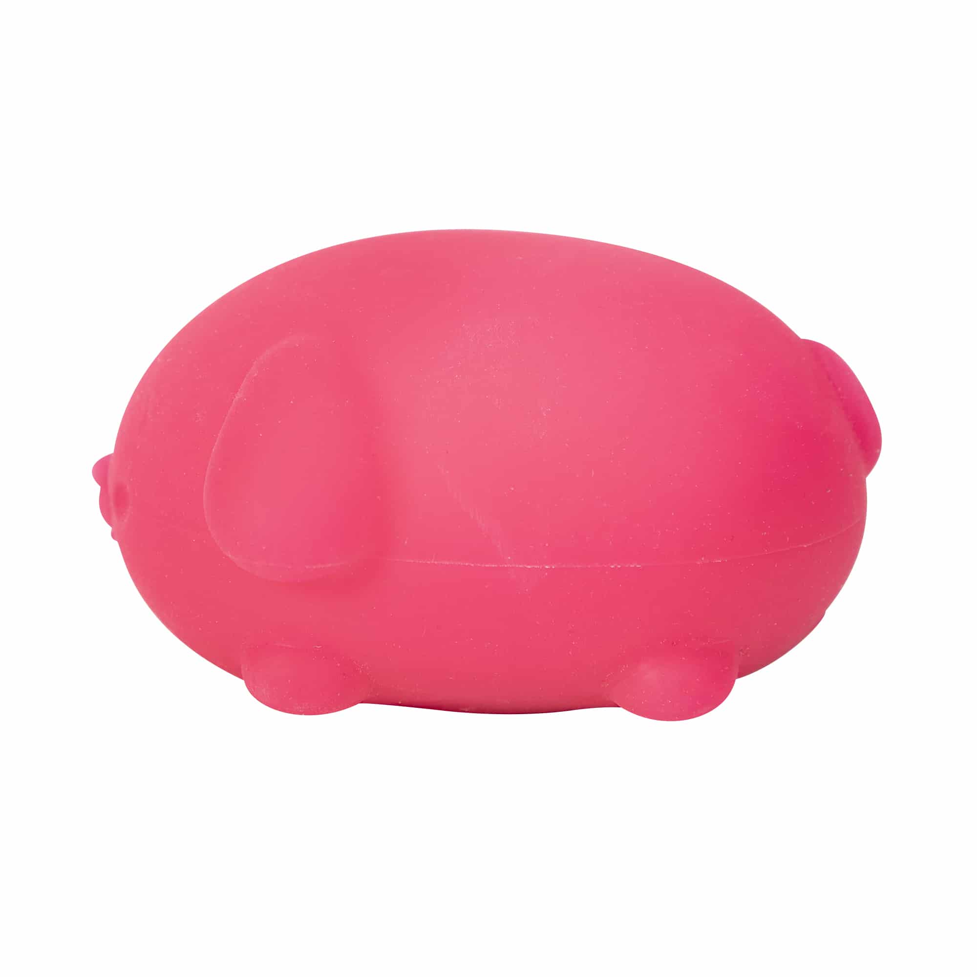 Purrfectly Squishy NeeDoh Funky Pup | Collection Canyon Shore - Purrfect Cat Squishy Character Stress Toy Detail