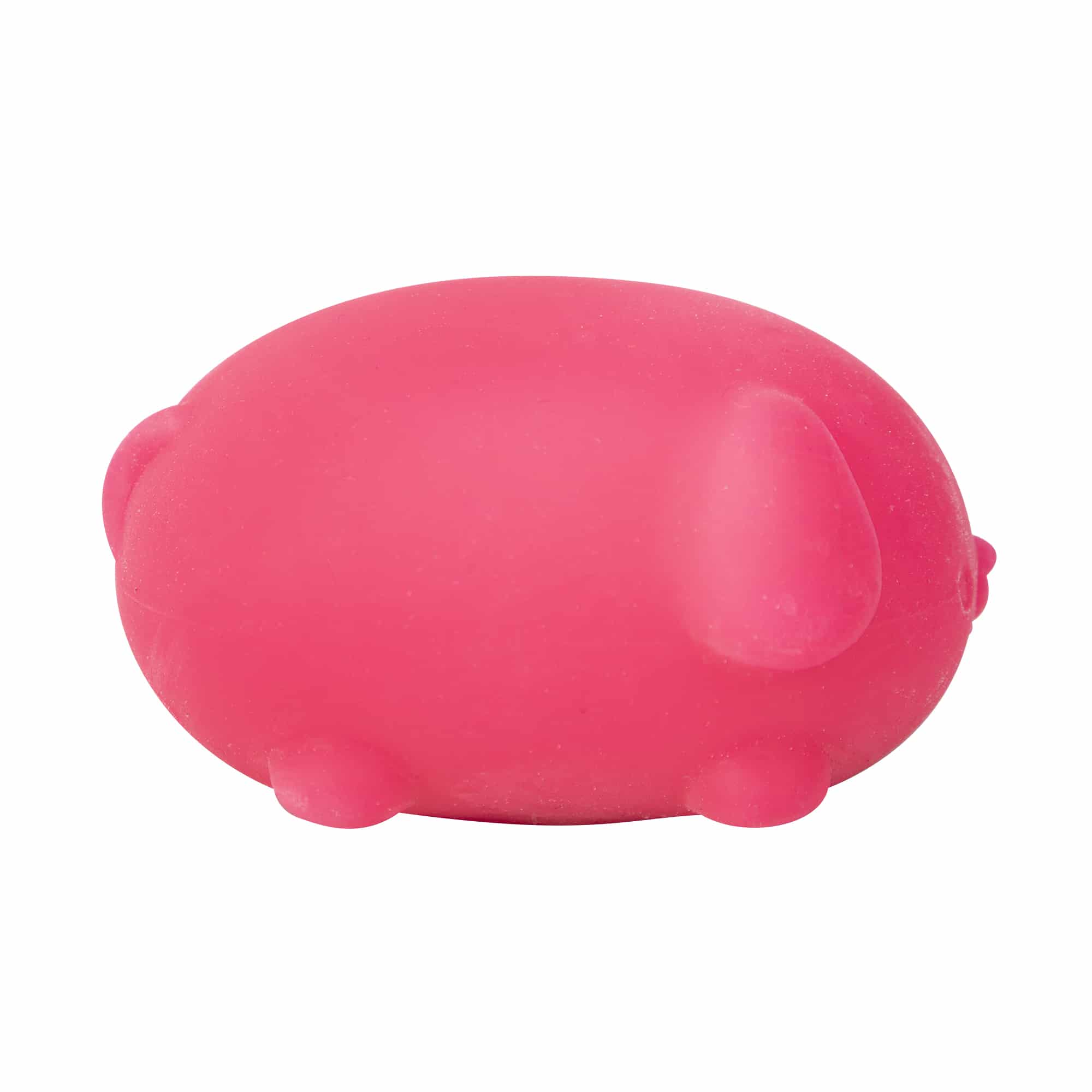 Purrfectly Squishy NeeDoh Funky Pup | Collection Canyon Shore - Purrfect Cat Squishy Character Stress Toy Detail