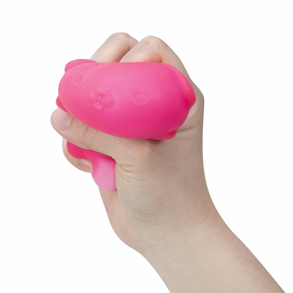 Purrfectly Squishy NeeDoh Funky Pup | Collection Canyon Shore - Purrfect Cat Squishy Character Stress Toy Detail