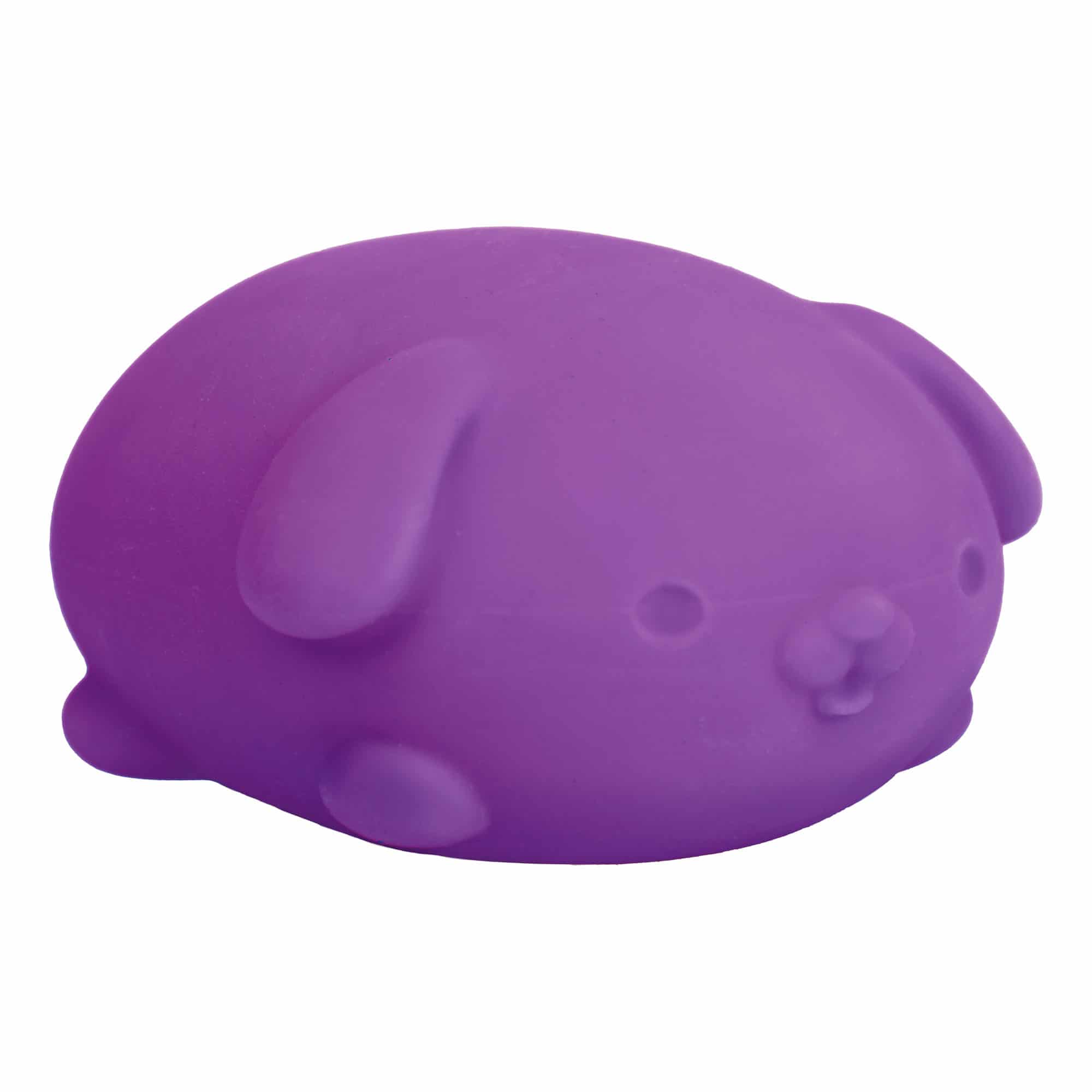 Purrfectly Squishy NeeDoh Funky Pup | Collection Canyon Shore - Purrfect Cat Squishy Character Stress Toy Detail