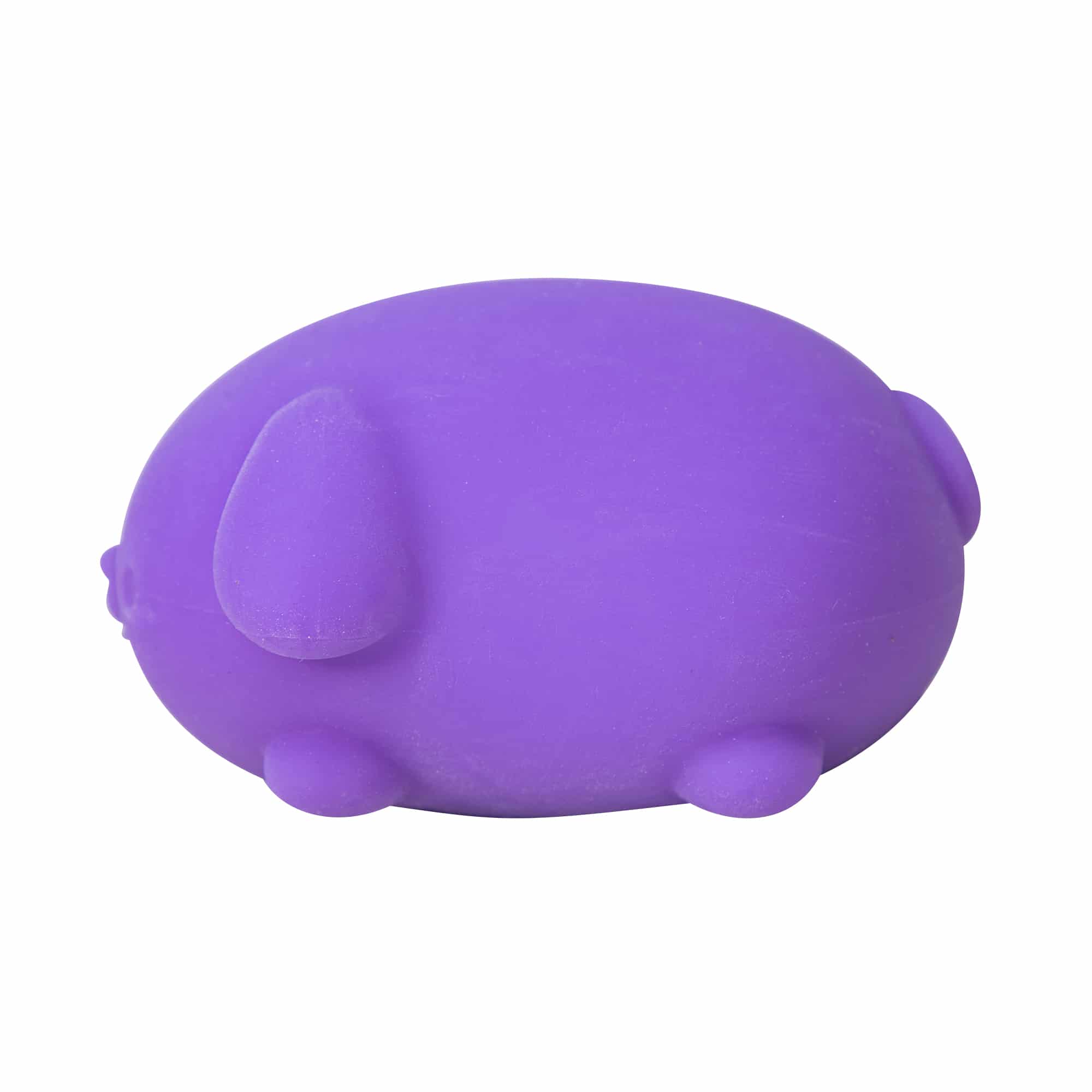 Purrfectly Squishy NeeDoh Funky Pup | Collection Canyon Shore - Purrfect Cat Squishy Character Stress Toy Detail