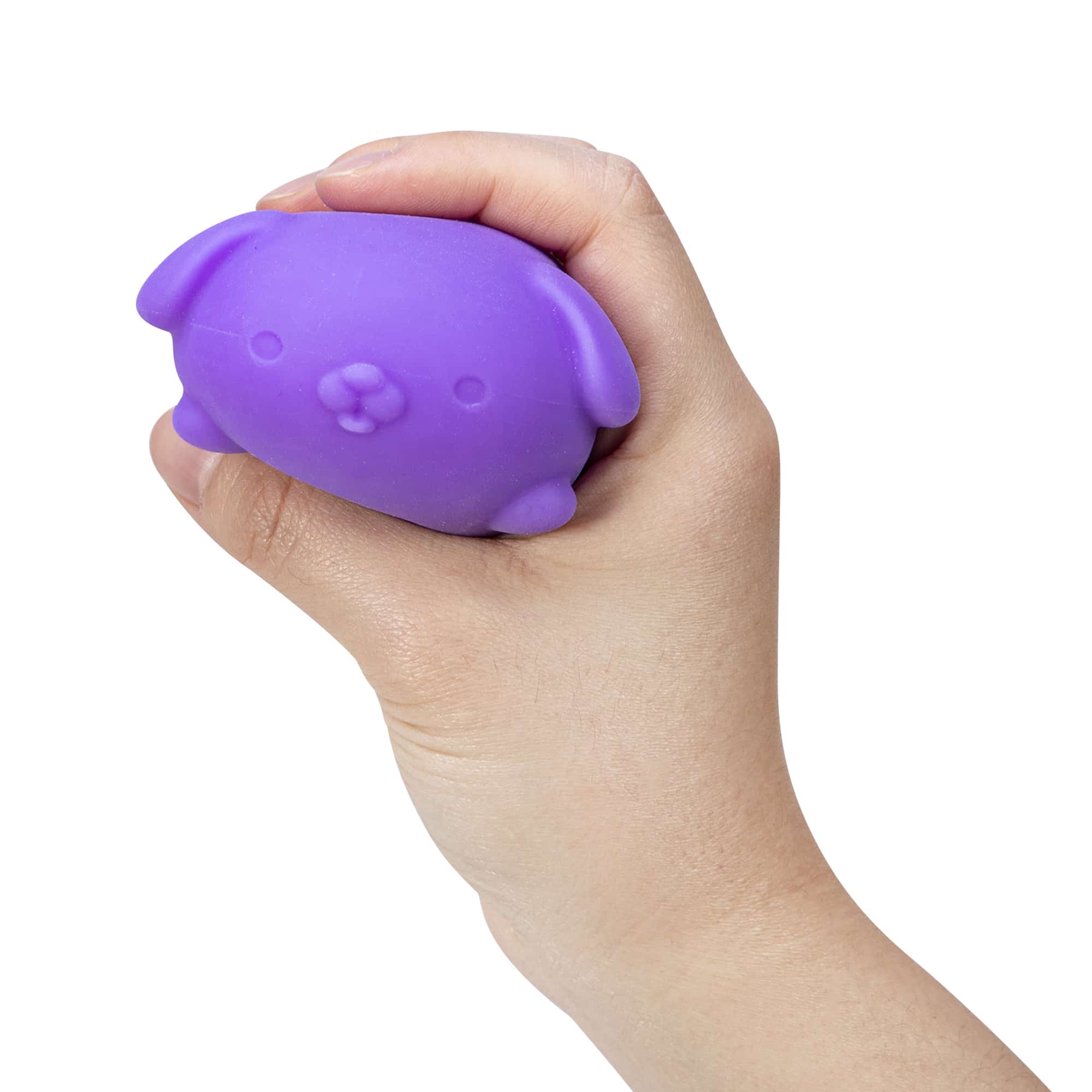 Purrfectly Squishy NeeDoh Funky Pup | Collection Canyon Shore - Purrfect Cat Squishy Character Stress Toy Detail