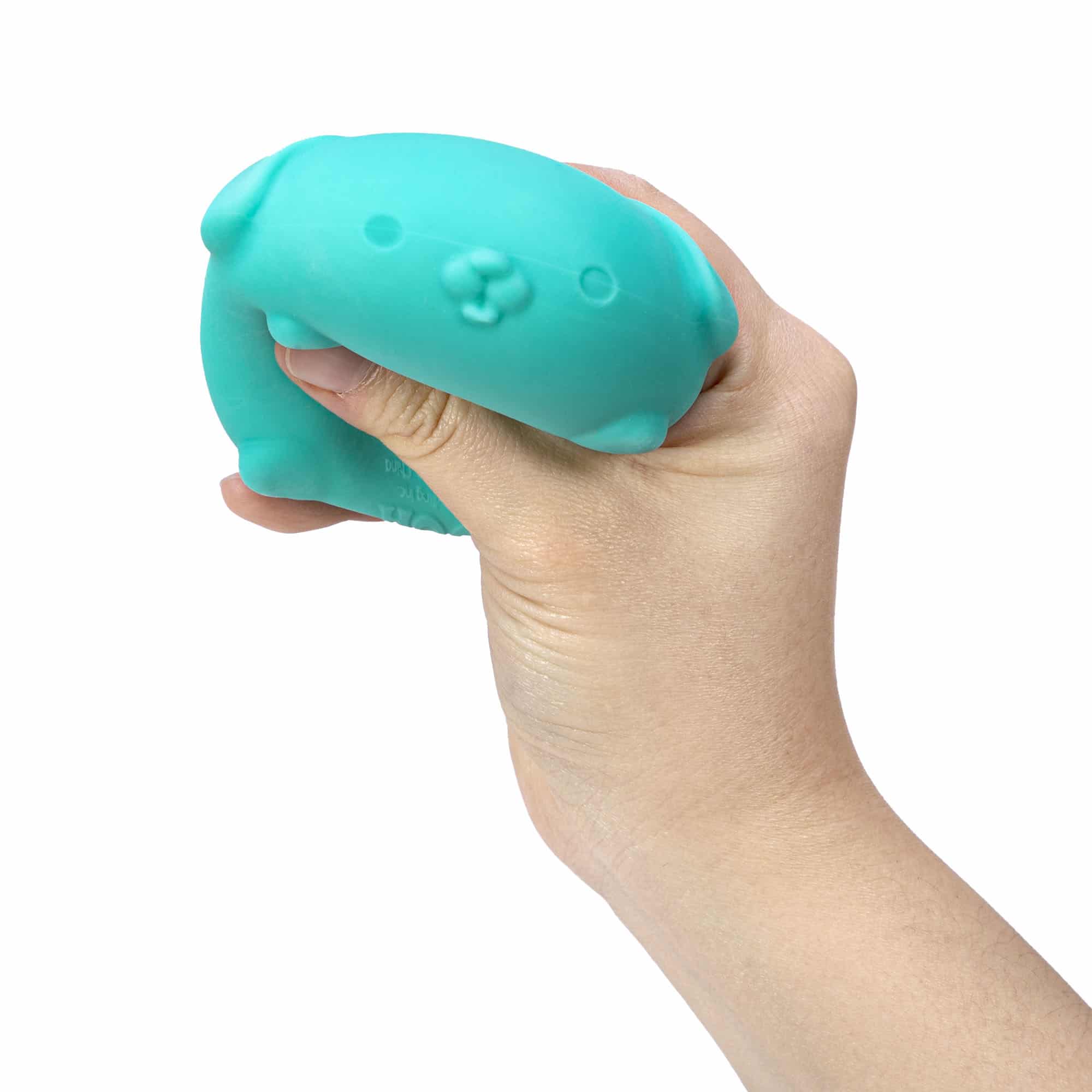 Purrfectly Squishy NeeDoh Funky Pup | Collection Canyon Shore - Purrfect Cat Squishy Character Stress Toy Detail